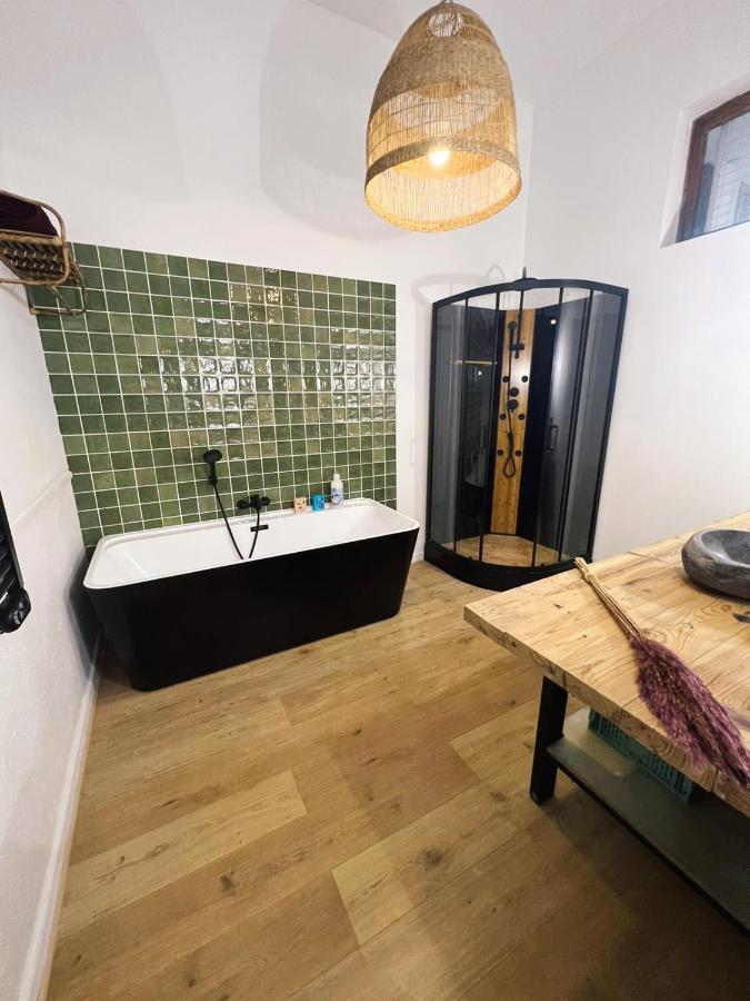 סן-אטיין Appartement Studio Loft Cosy Centre St Etienne מראה חיצוני תמונה